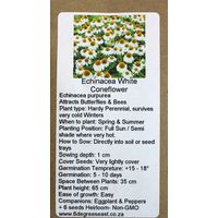 6 Degrees East Heirloom Flower Seeds - Echineacea - White